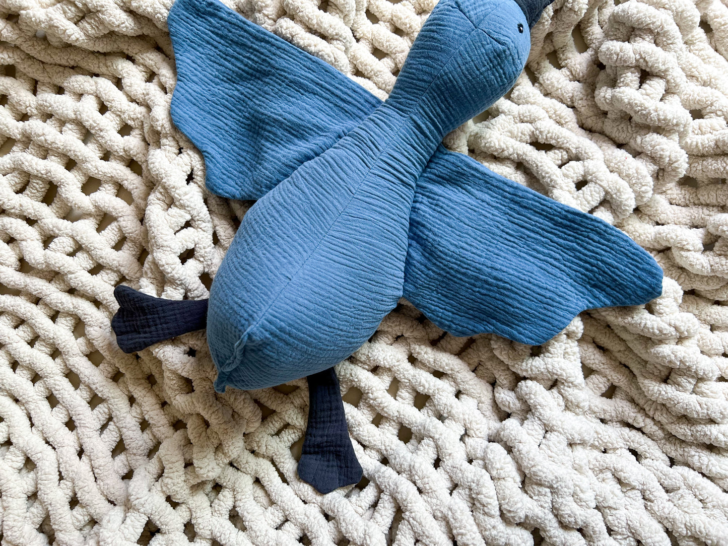 Duck Duck Goose - Coast