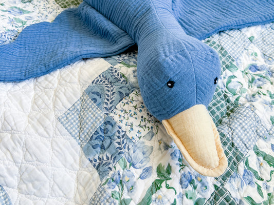 Duck Duck Goose - Coast